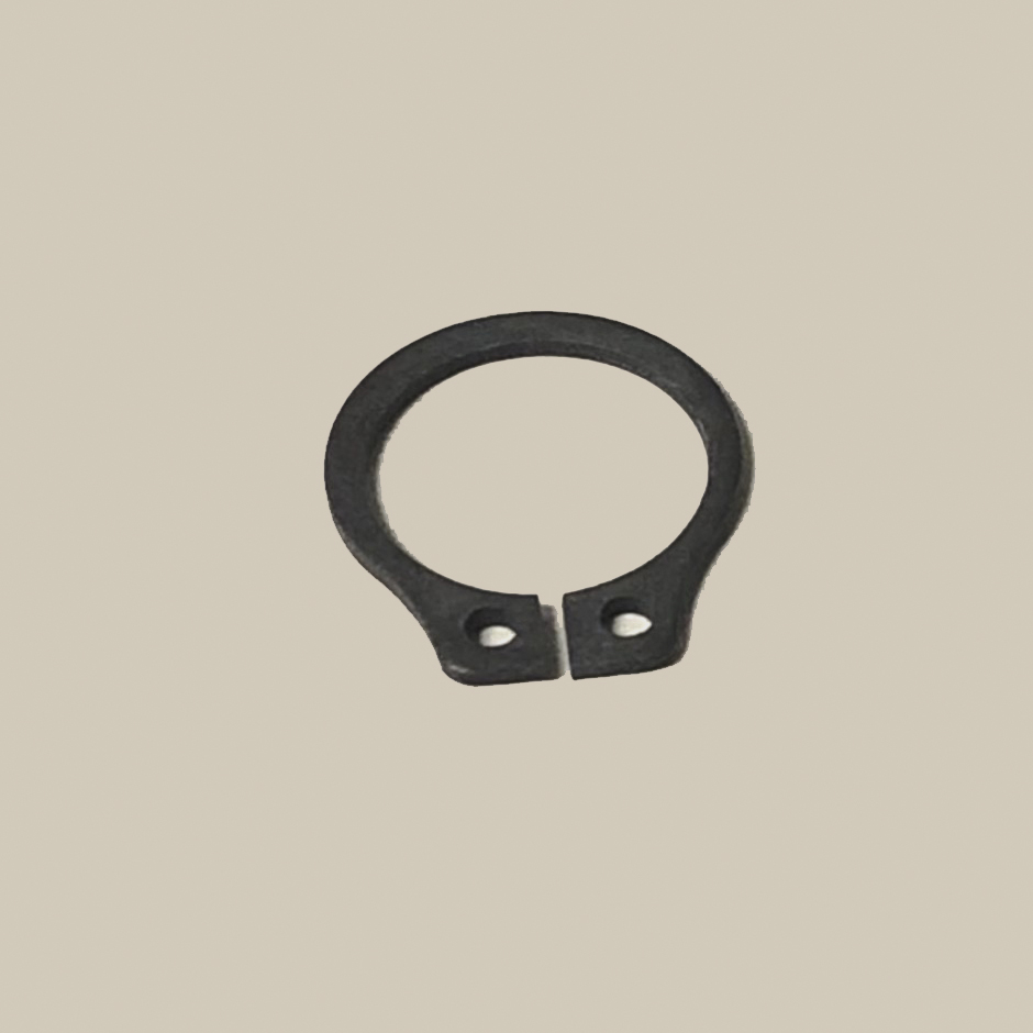 LMI - Retaining Ring