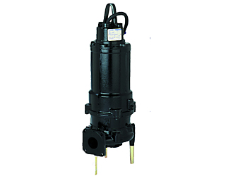 Ebara Pump - CGFU Series
