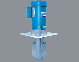 Hayward/Webster - S Series Pump S4