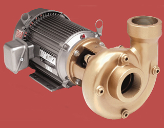 AMT - Heavy Duty Straight Pump