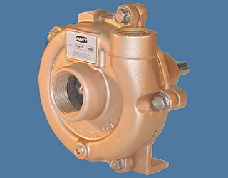 AMT - Straight Pedestal Pump