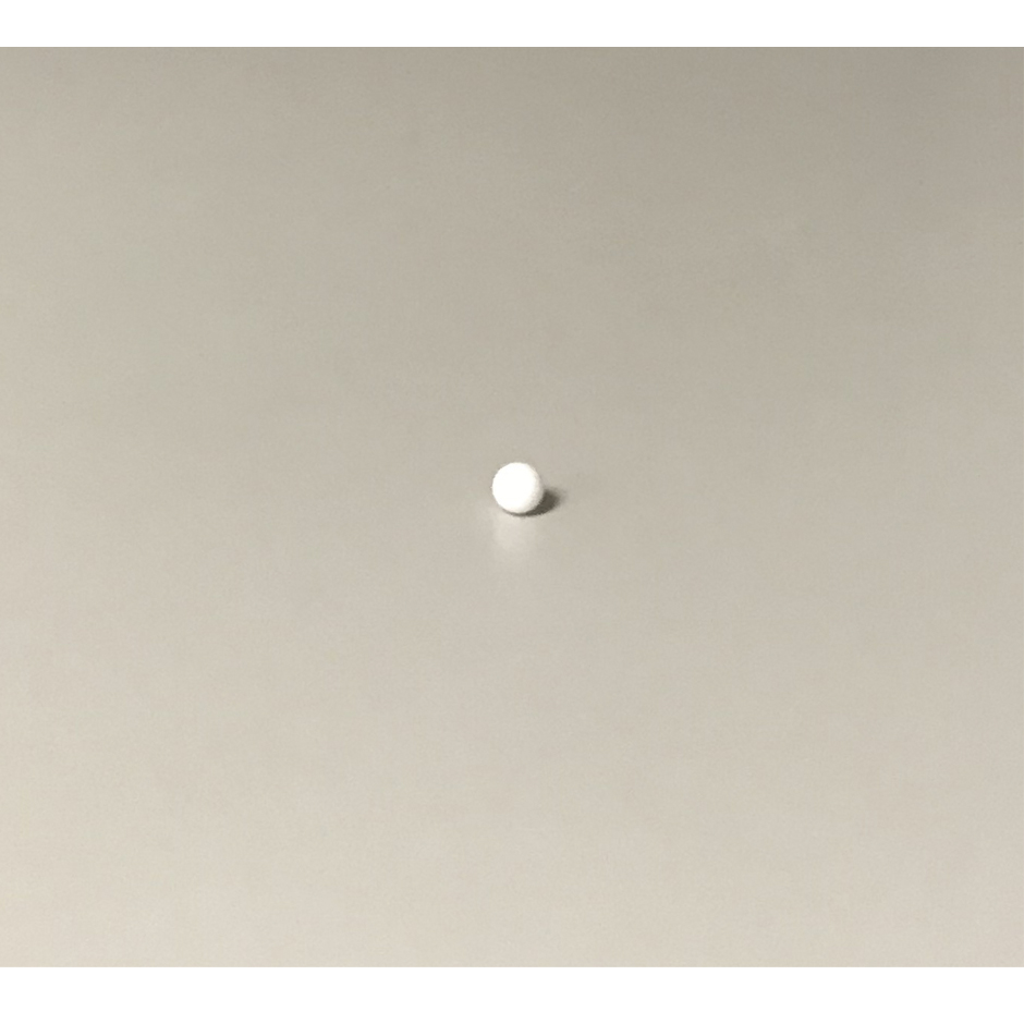 Walchem 1/2 Teflon Ball Valve