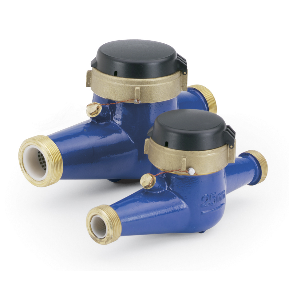 Walchem - WFM Flow Meter: WFM101-0G100